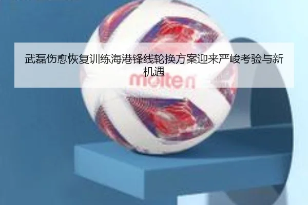 武磊伤愈恢复训练海港锋线轮换方案迎来严峻考验与新机遇